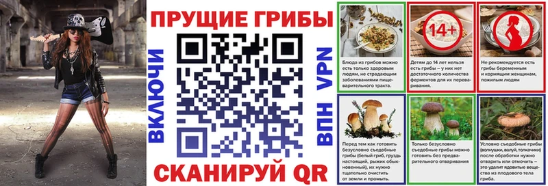Купить закладки  Ершов  Псилоцибиновые грибы мицелий 