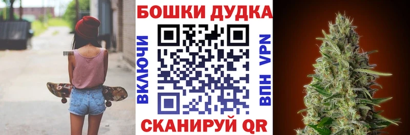 Каннабис OG Kush  Купить где  Ершов 